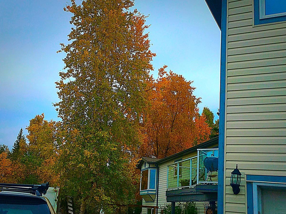 Mabuhay Lakeside Manor Bed and Breakfast Yellowknife Buitenkant foto